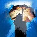 비울채울 이미지