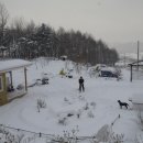 고아산방 이미지