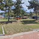 무창포해수욕장오토캠핑장 이미지