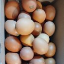 해샘찬농장 이미지