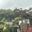 바라산자연휴양림 | 바라산자연휴양림 백운산동 복층 숙소 후기