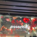 고릴라파이프 | 잘가 나의 2025년!