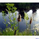 백화초등학교 이미지