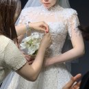 올서비스투어 이미지