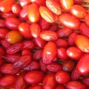 열매약국 이미지