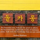 복숭이하우스_제주의시간은느리다