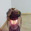 리플러스횟집