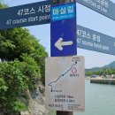 부안변산마실길 | [전북 부안] 송포항 변산마실길 샤스타데이지 꽃밭 방문기! 변산 마실길 2코스, 봄 여행지 추천 by크크비