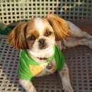 현기농장 이미지