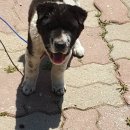 용동1길 이미지