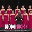 다보참치 이미지