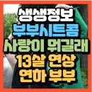 생생정보 부부 시트콤 사랑이 뭐길래 13살 연상 연하 부부 동대문 조은선헤어 위치 예약