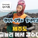 금능맛차롱 협동조합 | 금능맛차롱 자숙뿔소라 숙회 소라꼬치로 맛나게 즐겨요!