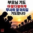 1334기 극기주 첫째 날 이공간에서 응원합니다 릴레이 응원이 아들들을 이겨나가게 한답니다 댓글로 응원합니다 이미지