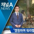 “워라밸 찾아 캠핑 가요”…캠핑카 1만 대 육박 이미지