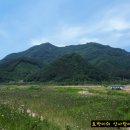 포천한탄강하늘다리 이미지