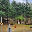 자유공원 지석묘 이미지