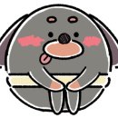 안동김씨 사충문 이미지