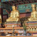 칠곡 송림사 석조아미타여래삼존좌상 이미지