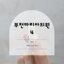 수정-4 | 마리아의원 후기4:인공수정후 증상(사이클로제스트 질정 ,무증상)