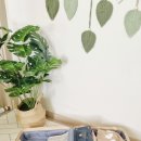 삼정참펜션 이미지