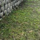 5713 | 디월트 DCM5713 x1 충전 예초기 구매 후기.(DCM5713, DCB609)