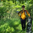 구구와이 이미지