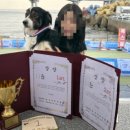 한국반려동물전문학원