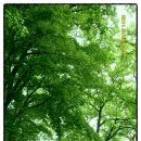 장곡1리 이미지