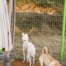 복도리농장 이미지