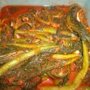 지리산의하루 이미지