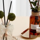 알레(ALLE) 이미지