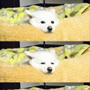 모니모니 이미지