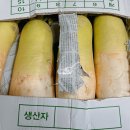 무 이미지