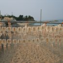 수성반점 이미지