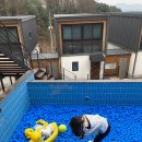 개가사는그집 이미지