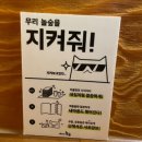 [이대만화카페] 놀숲 이대점: 카공 추천👍 누가 만화방에서 만화만 보니?