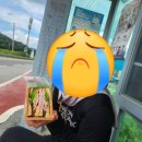 안성시 일죽도서관 | [경기둘레길 안성 39코스] 안성둘레길, 안성 가볼만한 곳, 현풍곽씨 충효각,용설호수, 용설저수지...