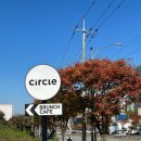 [분당 대형 브런치카페] 서클 Circle