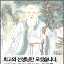 쎈디 이미지