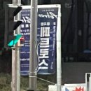 이오사(254)