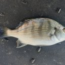 해와달해양낚시공원 이미지