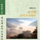 문경훈 시집 - 내 안에 숲이 무성하다 이미지