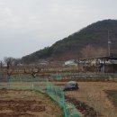 생림공인중개사사무소 이미지