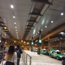 홍콩 여행기-1탄 이미지