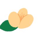 치유원예테라피 이미지