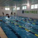 배방파인트리수영장 이미지