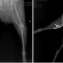 서수원동물병원 이미지