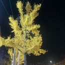 닥터 메포츠 | 연제구 거제동 속눈썹 연장, 펌 추천후기 : 부산 예뻐지다 반영구샵 추천 후기 💛