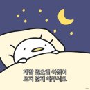 꽁꽁 얼어붙은 블로그 위로 일상이 걸어 다닙니다